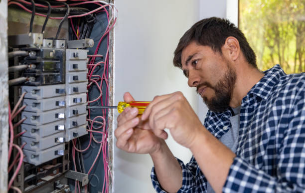 Best Electrical Panel Upgrades  in Brooklyn Park, MD